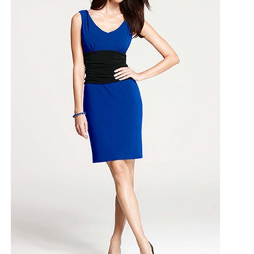 Ann Taylor v neck dress